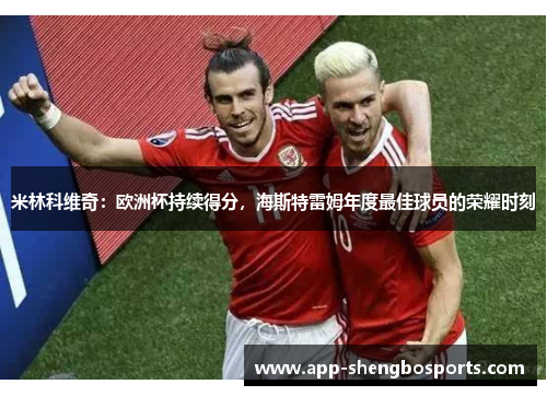 米林科维奇：欧洲杯持续得分，海斯特雷姆年度最佳球员的荣耀时刻