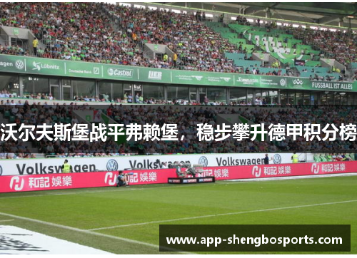 沃尔夫斯堡战平弗赖堡，稳步攀升德甲积分榜
